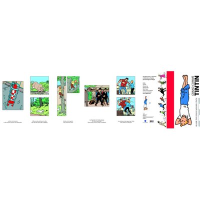 GRAND COMME TINTIN